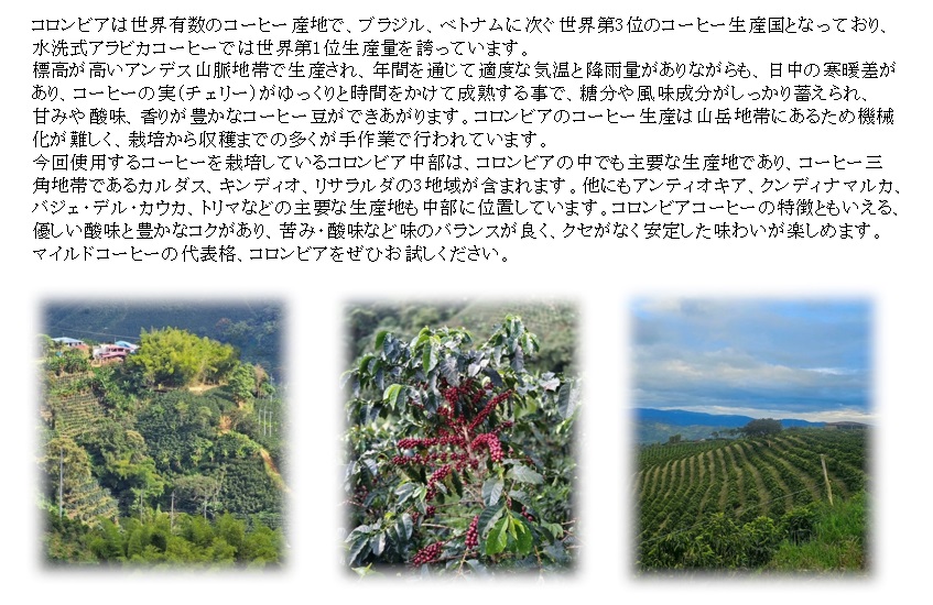 コロンビア500g 形状: 豆