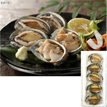 殻付ボイル蝦夷あわび(養殖) 5個【年末限定商品】