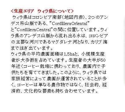 コロンビアベストセレクト 100g 形状: 豆