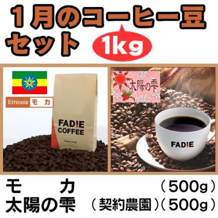 【送料無料】 1月のコーヒー豆1kgセット(モカ500g・太陽500g) 形状: 豆