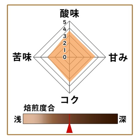 コロンビア500g 形状: 豆