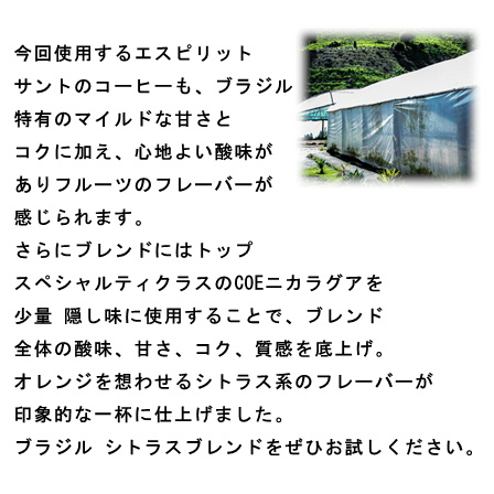【期間限定】ブラジル シトラスブレンド200ｇ 形状（豆or粉）: 豆