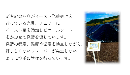 【期間限定】ブラジルイーストブレンド500ｇ 形状: 豆