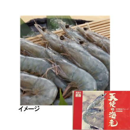養殖 ゴダック 天使の海老 1kg(約20-30尾)【年末限定商品】