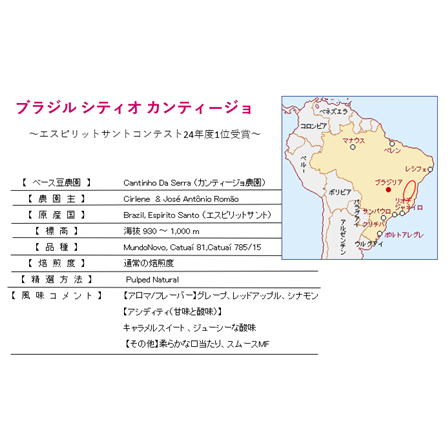 【完全予約限定販売】ブラジル シティオ カンティージョ100g 形状（豆or粉）: 豆