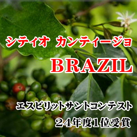 【完全予約限定販売】ブラジル シティオ カンティージョ100g 形状（豆or粉）: 豆