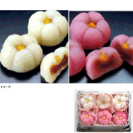 花餅 紅梅・白梅 6個入(各3個)【年末限定商品】