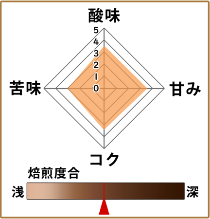 コロンビア500g 形状: 豆