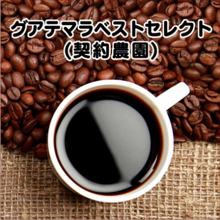 グアテマラベストセレクト（契約農園） 200g 形状: 豆