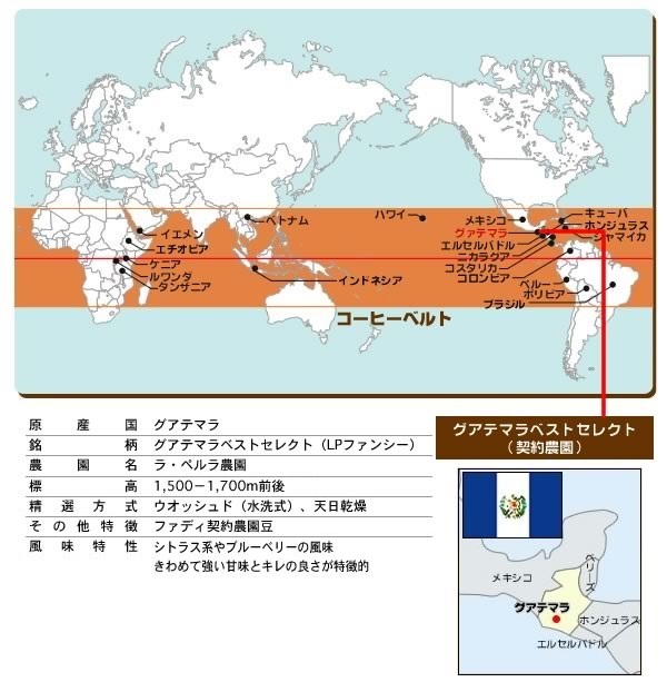 【定期購入】グアテマラベストセレクト （契約農園）300g 【送料無料】（メール便） 形状: 豆