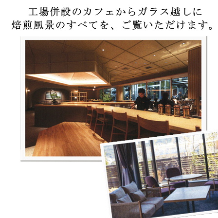 【ギフト】篠栗珈琲焙煎所ボトルアイスコーヒー500ml×2本 【商品番号350】