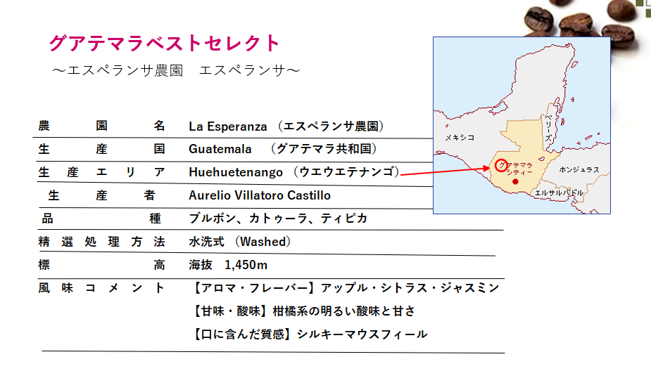 グアテマラベストセレクト 100g 形状: 豆
