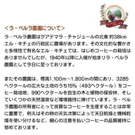 グアテマラベストセレクト（契約農園） 100g 形状: 豆