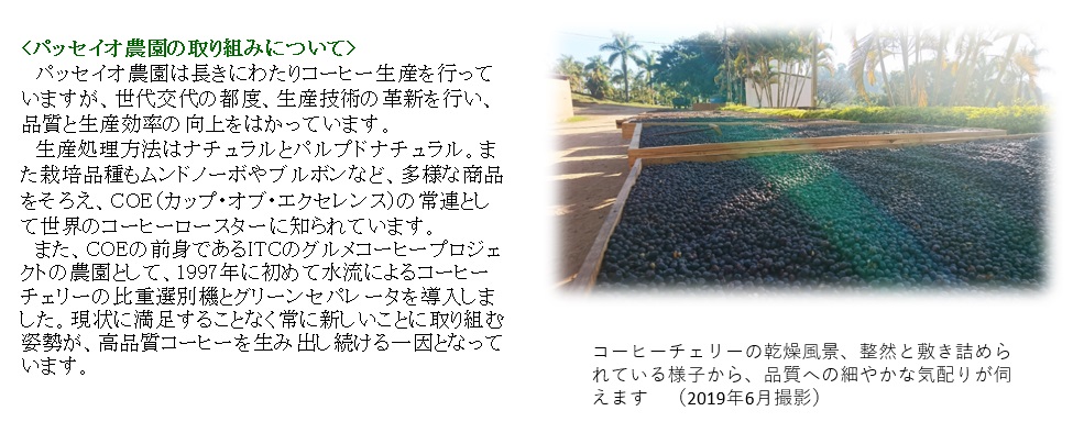 【メール便】ブラジルベストセレクト(契約農園) 300g 形状: 豆