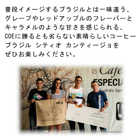 【完全予約限定販売】ブラジル シティオ カンティージョ100g 形状（豆or粉）: 豆