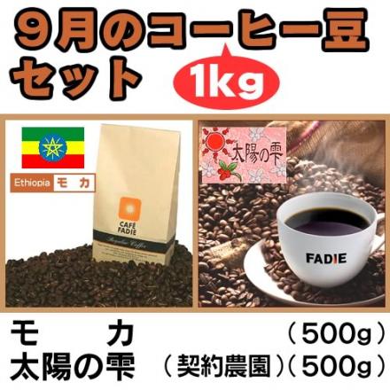 【送料無料】9月のコーヒー豆1kgセット(モカ500g 太陽の雫500g) 形状: 豆