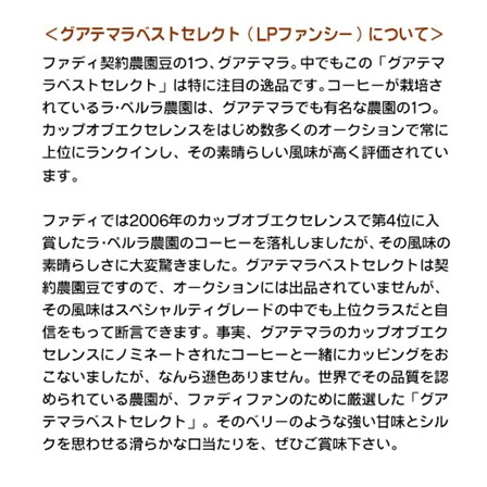 【メール便】グアテマラベストセレクト（契約農園） 300g 形状: 豆