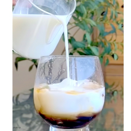 ファディ カフェオレベース 500ml