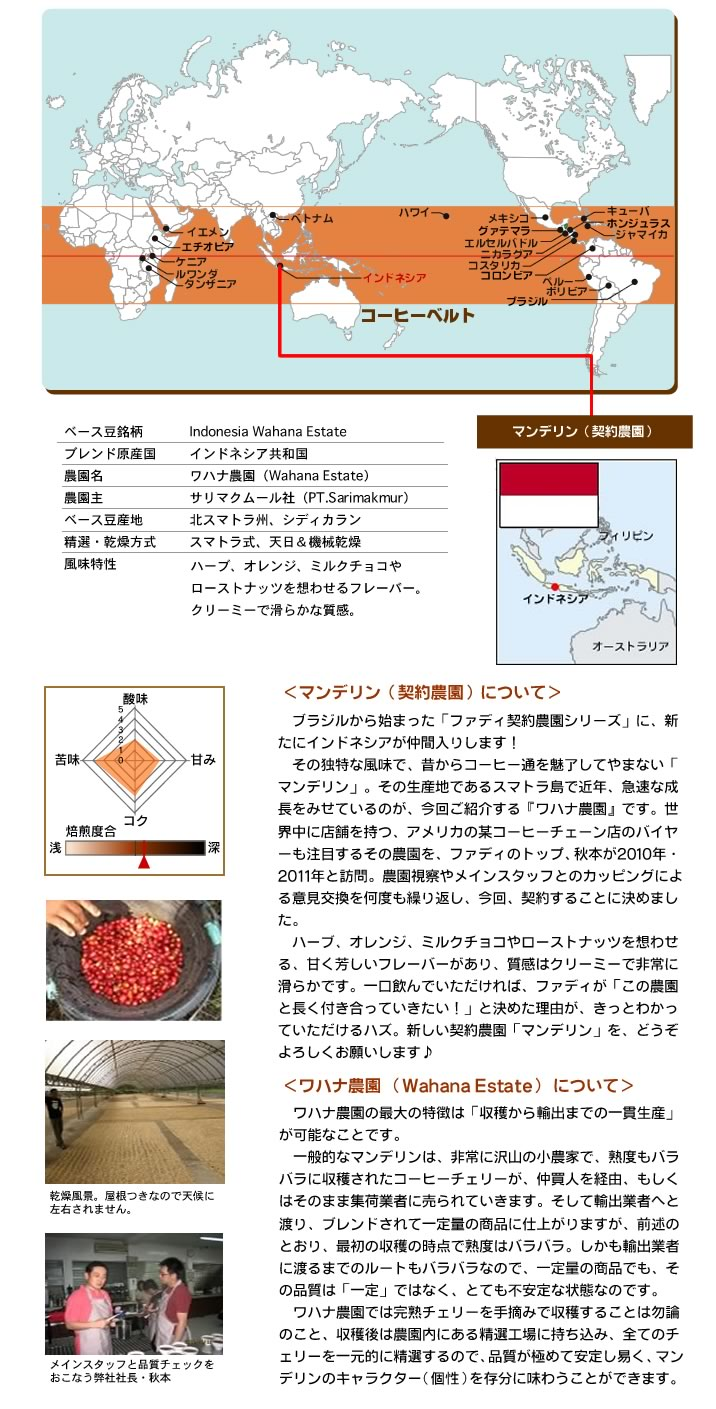 マンデリン(契約農園)500g 形状: 豆