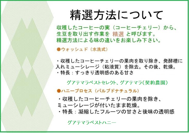 【送料無料】グアテマラ飲み比べセット  合計500g 形状（豆or粉）: 豆