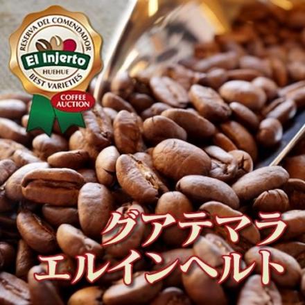 【完全予約限定販売】グアテマラ エルインヘルト 100g 形状: 豆