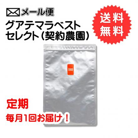 【定期購入】グアテマラベストセレクト （契約農園）300g 【送料無料】（メール便） 形状: 豆