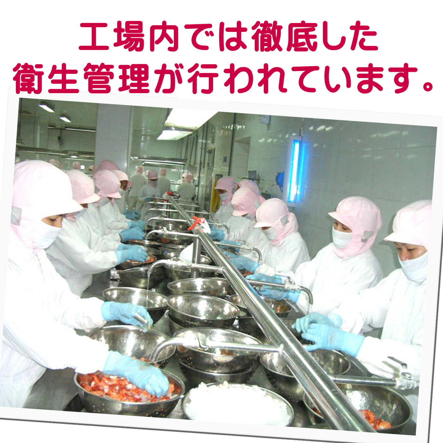 ニッスイ ボイルシーフードミックス 500g