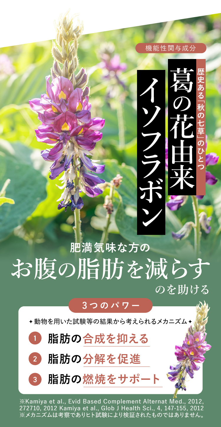 葛の花由来イソフラボン