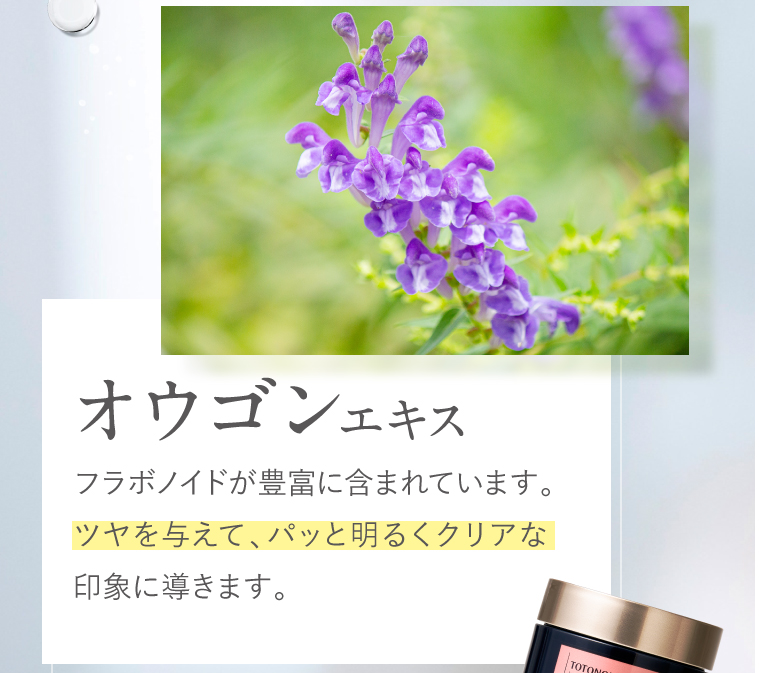 オウゴンエキス