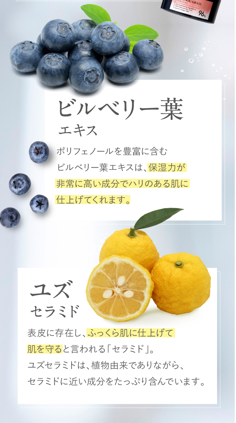ビルベリー葉エキス
