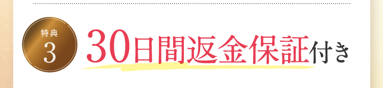 30日間返金保証付き