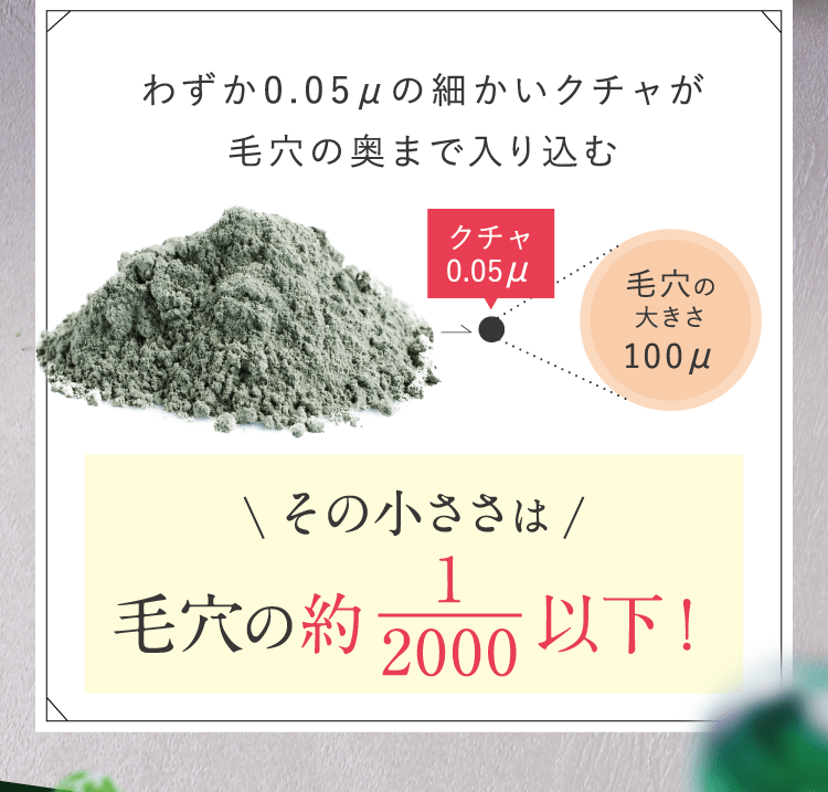 その小ささは毛穴の約1/2000以下！