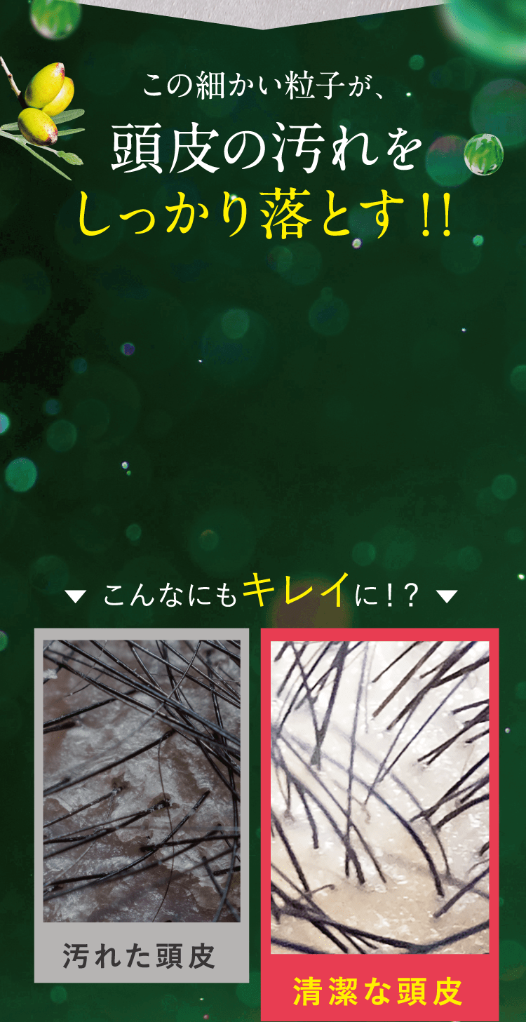 この細かい粒子が、頭皮の汚れをしっかり落とす！！