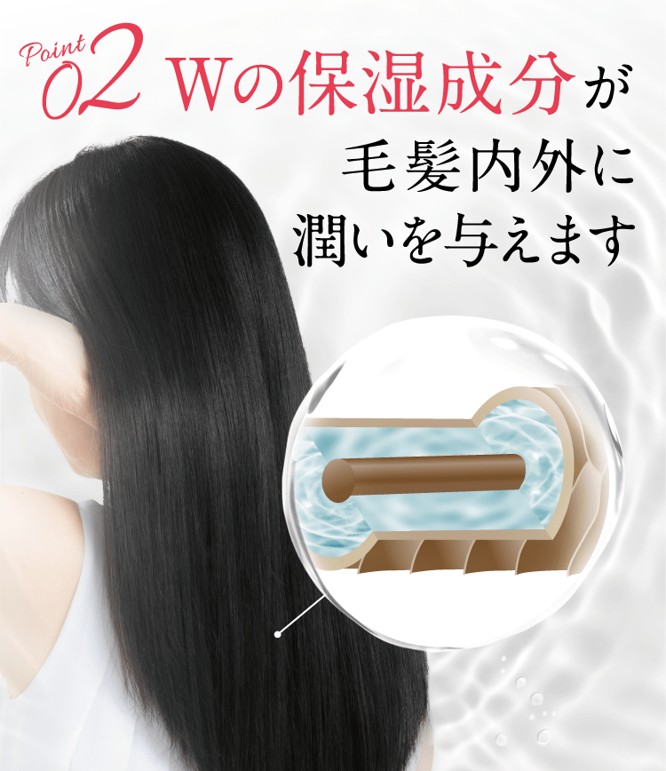 Ｗの保湿成分が毛髪内外に潤いを与えます
