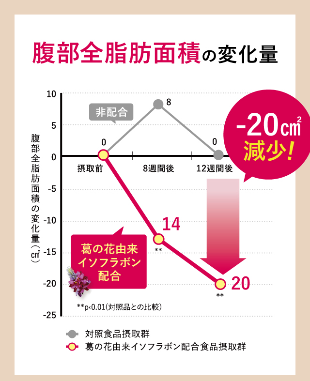 腹部全脂肪面積の変化量
