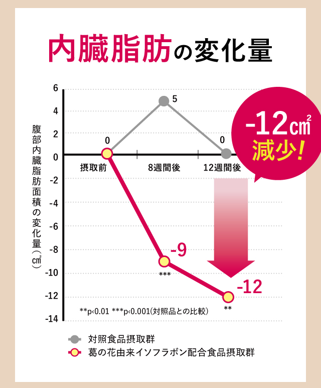 内臓脂肪の変化量