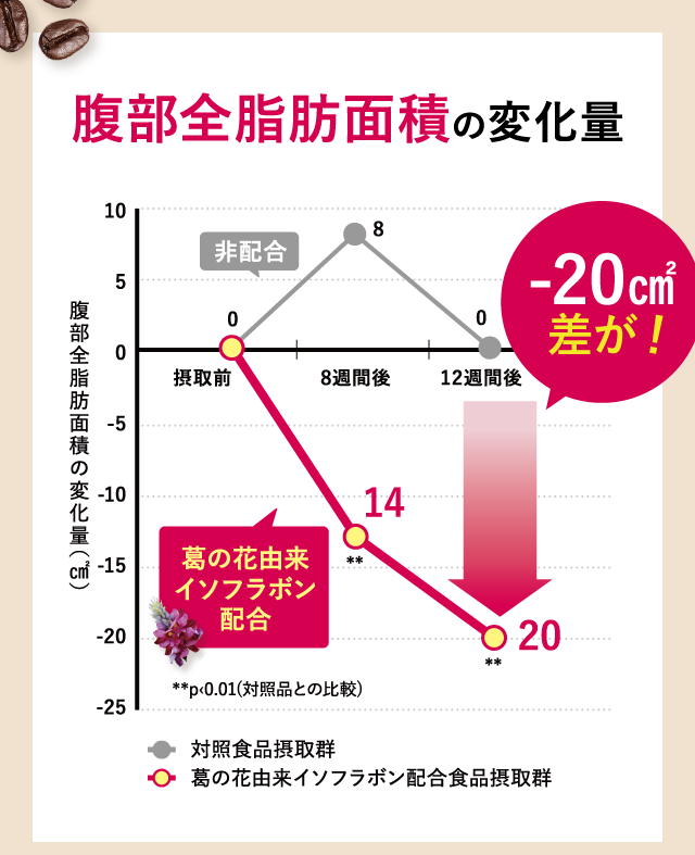 腹部全脂肪面積の変化量