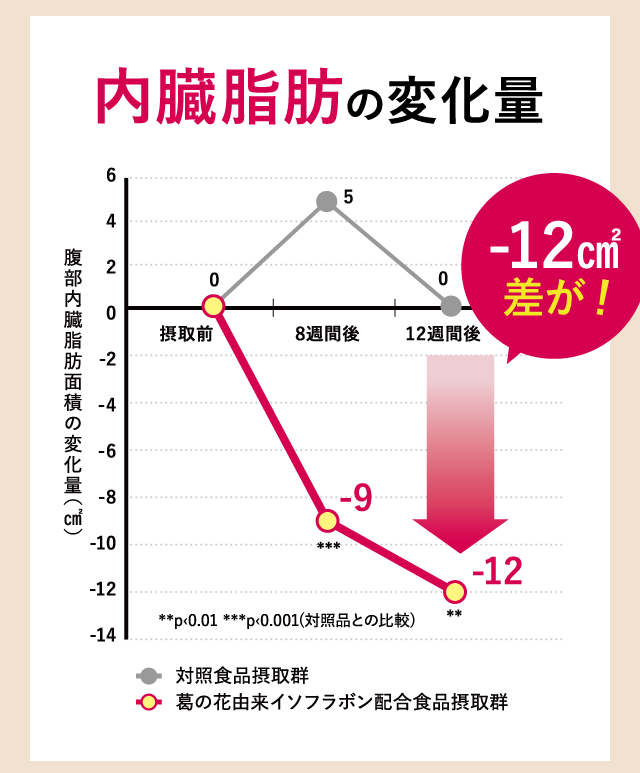 内臓脂肪の変化量
