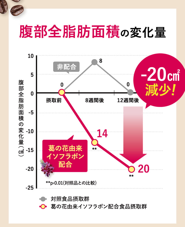 腹部全脂肪面積の変化量
