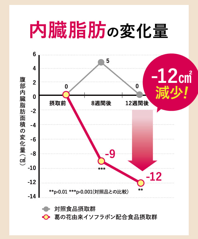 内臓脂肪の変化量
