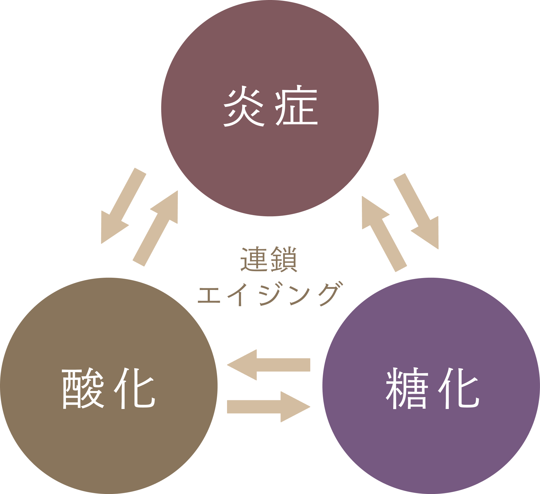 連鎖エイジングの図