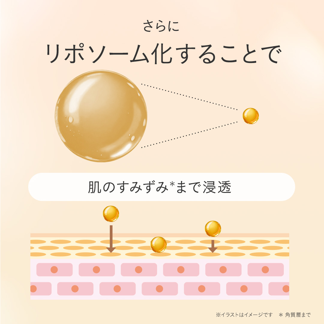 ルミエール コンセントレートクリーム｜FEMMUE〈ファミュ〉公式