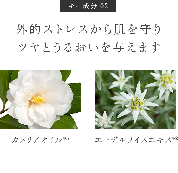 キー成分：透明感とツヤを与える成分、外的ストレスから肌を守る植物成分