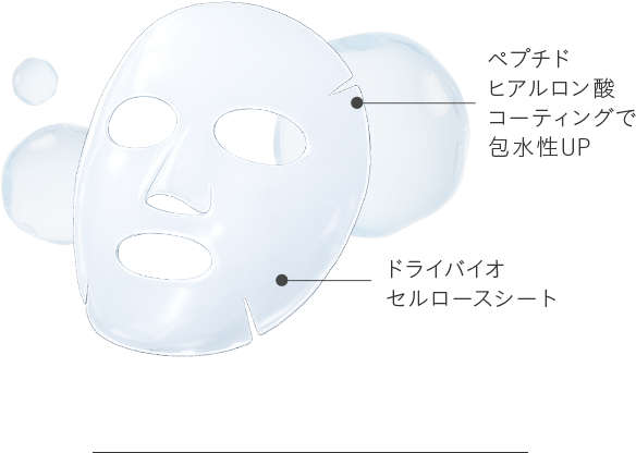 ペプチドとヒアルロン酸をコーティングしたシート構造