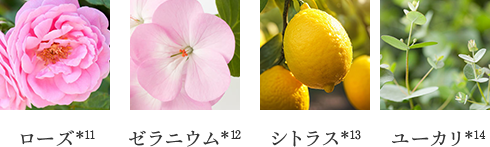 ローズ＊11、ゼラニウム＊12、シトラス＊13、ユーカリ＊14