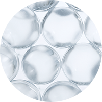 5種のセラミド＊3