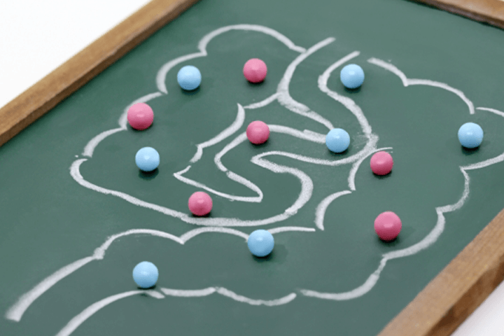 腸内環境と赤ら顔：腸皮膚相関に注目