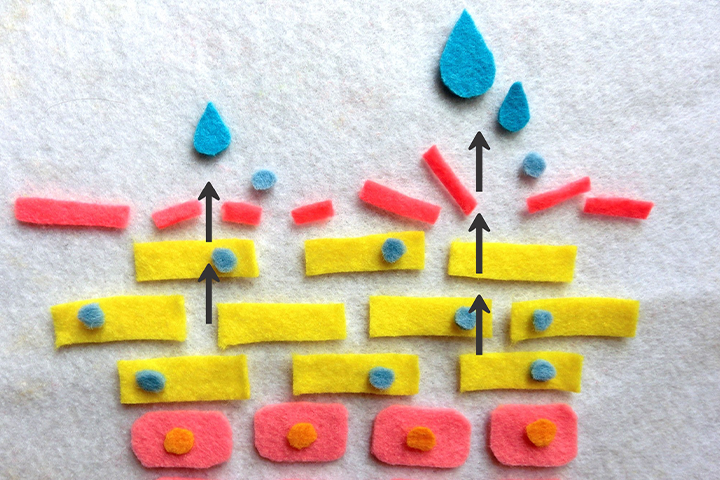 赤ら顔改善におけるターンオーバーの役割