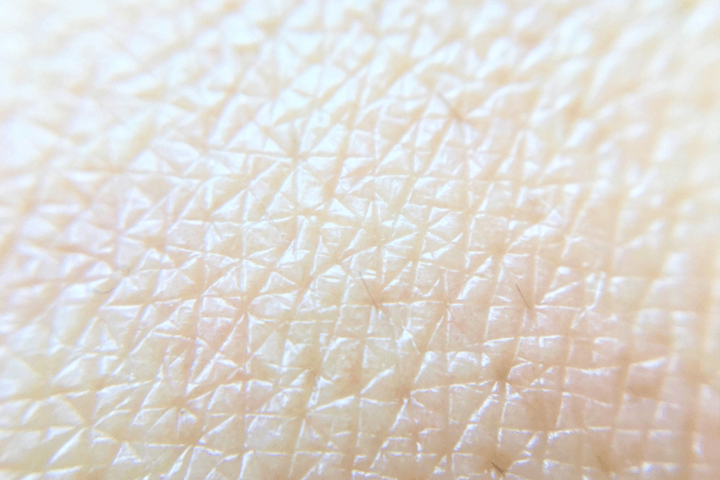 ヒト幹細胞の仕組み｜肌に働くメカニズム