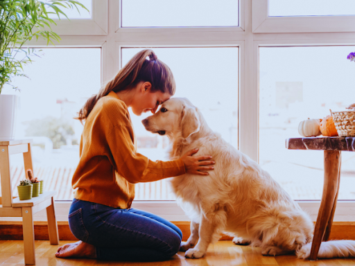 犬の皮膚病がなかなか治らない｜犬の皮膚病が繰り返す原因と対策を獣医師が徹底解説！